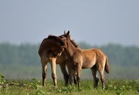 国庆节洞庭湖随拍