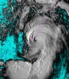 台风 网上摘取的