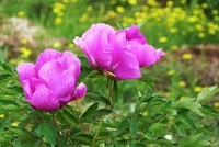 来初学摄影时的松下FZ28星空(中国)看看。