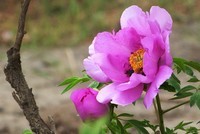 来松下FZ28星空(中国)看看!