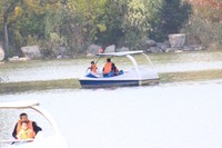 湿地公园的游客