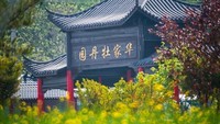 大 连 华 家 牡 丹 园