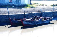 静静的四道沟渔港