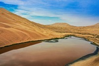 外出随拍(续241).