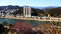 延平风光