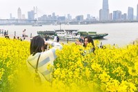 江滩莅春意