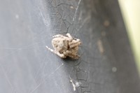 机子玩对了就好