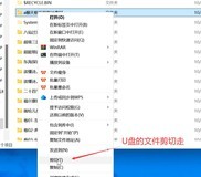 U盘剪切文件丢失:原因、恢复与预防全解析
