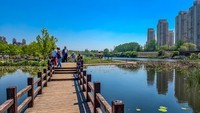 大 连 前 关 湿 地 ( 三 )