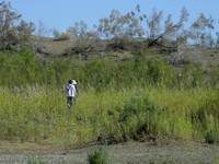 尼康D200+24-85随便拍拍。