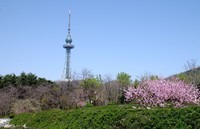 一年中的好时节