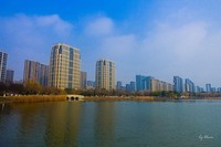 嘉兴海宁龙渡湖公园(冬拍)