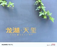 合肥龙湖天玺小区随拍