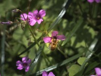 几张后期练习图片