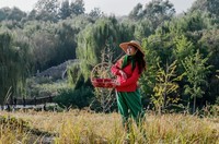 2022 初秋中坞公园环境人像  五