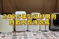 迷你内衣内裤洗衣机什么牌子的好?2025年公认好用的四款内衣洗衣机