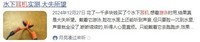2025年游泳耳机哪款性价比高?推荐排名第一的游泳耳机全网热推