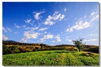 黑森林地区原野之秋