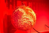 实拍“自然博物馆”(瑞士巴塞尔)