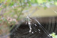 初试一式百微镜头