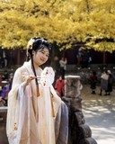 罨画池里银杏叶黄