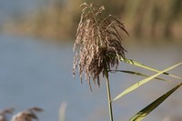 公园小息的人们