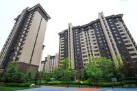 7D2的色彩看着突然这么舒服!