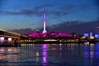 武汉长江夜景 2
