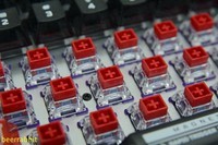 TTC万磁王轴:触底干脆扎实 行程顺滑回弹跟手