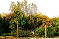 明湖广场秋意浓