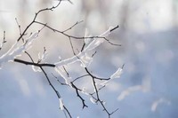 二月末,京北草原大汗行宫别有一番韵味