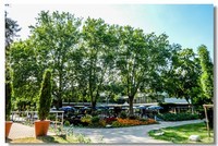 公园光影(南德)