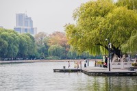外出随拍(409).