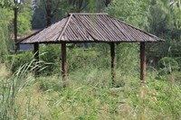 湿地公园散步随拍