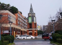 春天杂拍——FZ28仍然不老