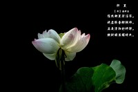 《初夏》  【 宋】 作者【姜特立】