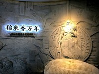 漫步星城 走街串巷(662)稻米香万年