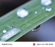 手机随拍记录生活