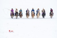 强健&靓丽的牧马人(68)