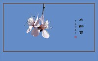 山桃花朵枝头舞