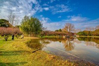 橘子洲拍风景 12