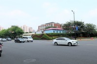 【解封后的上海虹桥路路边花园】