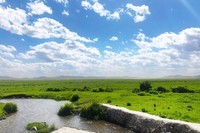 盼京北草原大汗行宫的春意盎然