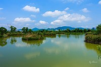 杭州富阳----阳陂湖(1)