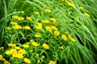 老家伙  拍的片