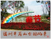福建福州------牛岗山公园风景(下)