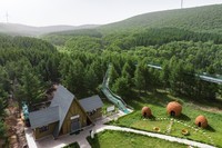 坝上阿勒泰?北纬42°七彩森林,七色松针织就绿野地毯