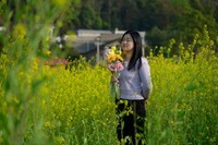 油菜花开了