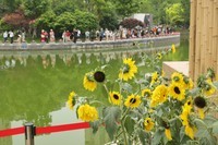 【太平湖畔(2)】——摄于上海新天地