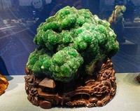 浙江省地质博物馆纪实【下】